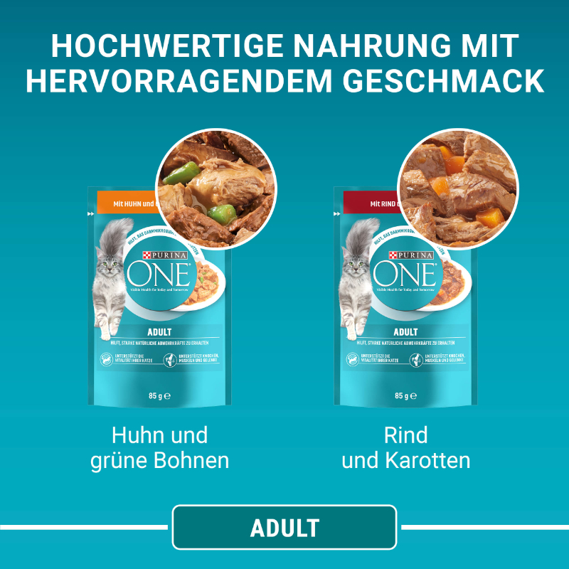 Purina ONE Nassfutter Purina ONE Adult 26x85g mit Rind und Karotten