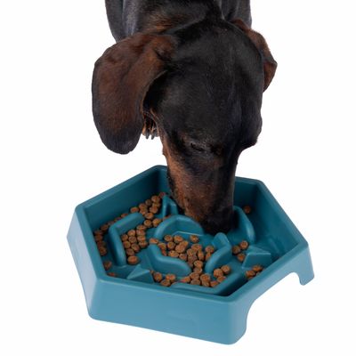 TIAKI Slow Feeder Blue Hexagon