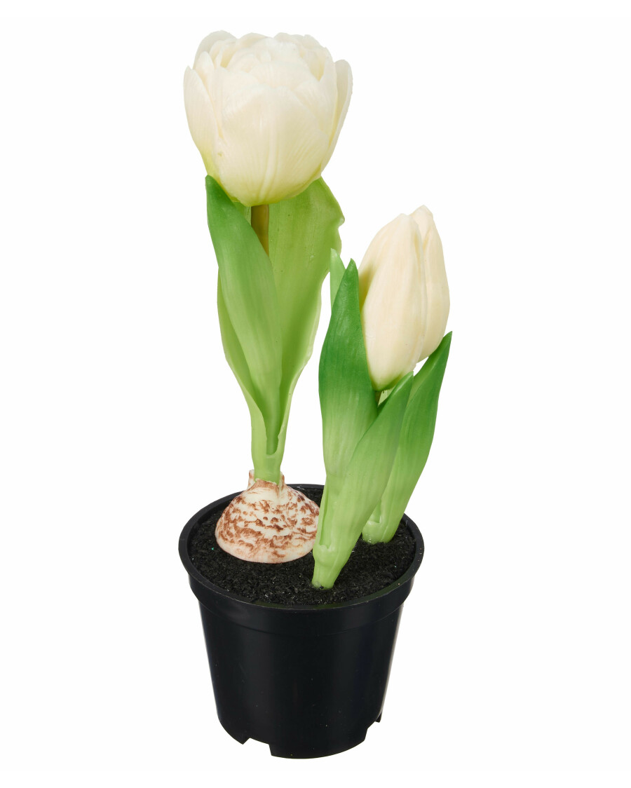 Kunstblume Tulpe