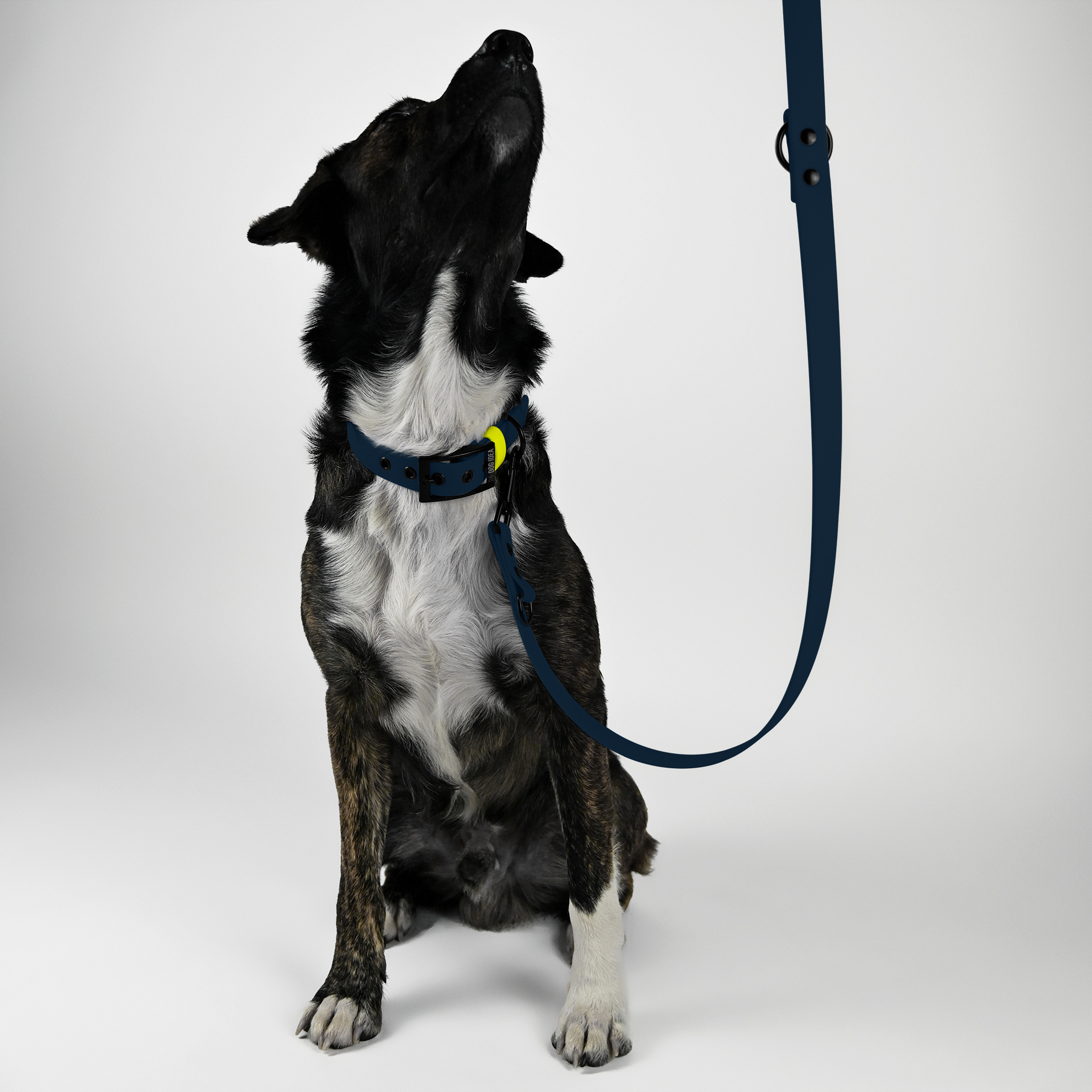 THE DOG IDEA Hundeleinen THE DOG IDEA Biothane Hundeleine Navy