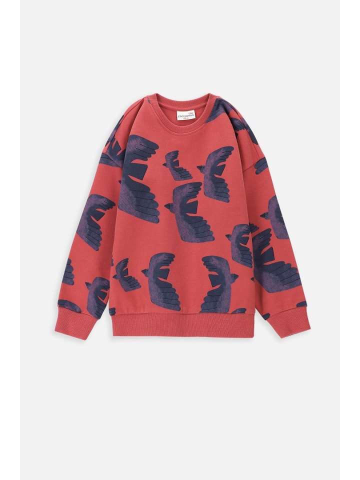 Coccodrillo Sweatshirt in dunkelrot günstig kaufen
