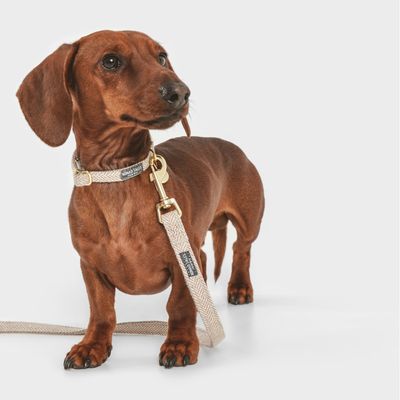 Nomad Tales Calma Halsband, sand