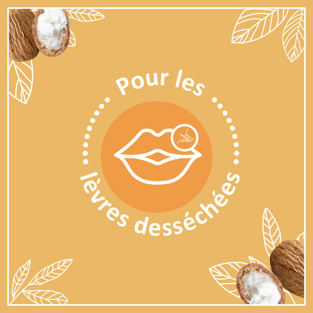 le petit marseillais Soins des Lèvres Stick Lèvres NutritionLèvres Desséchées x 2 Stick lèvres