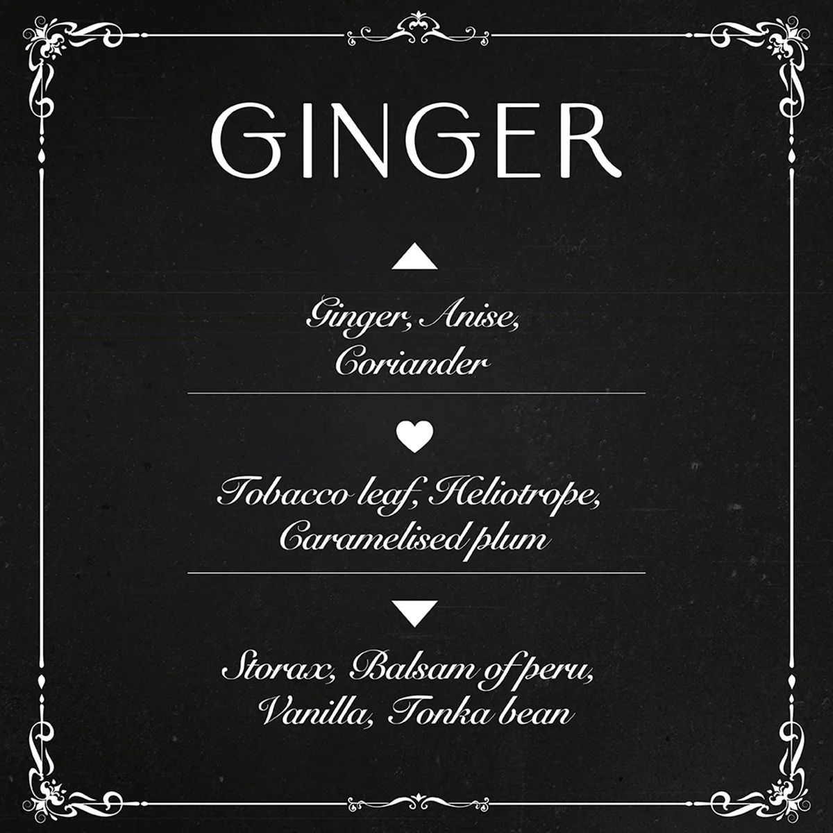 Fragranze e Deodoranti Ginger - Eau de Parfum