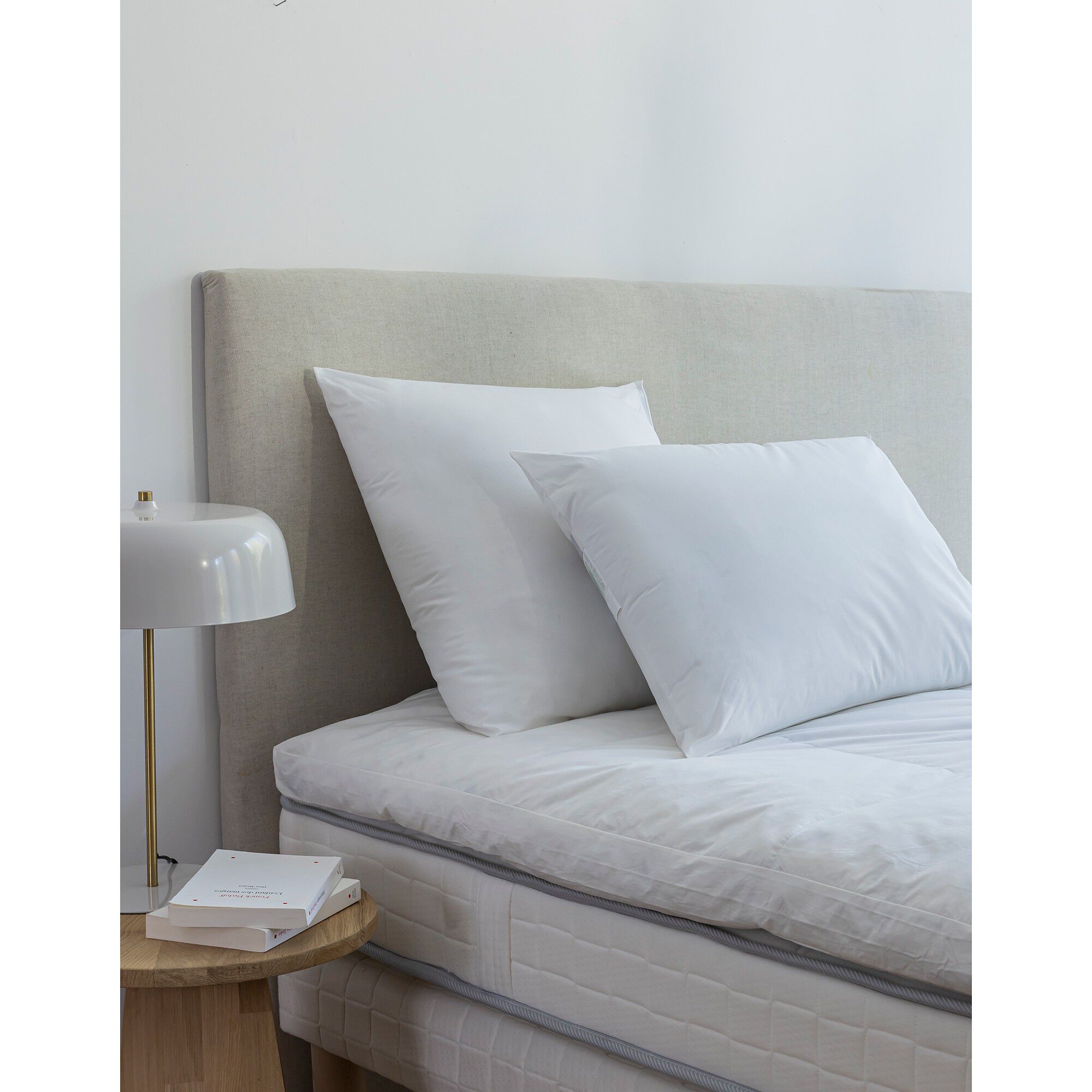 Oreiller anti-acariens Proneem ferme