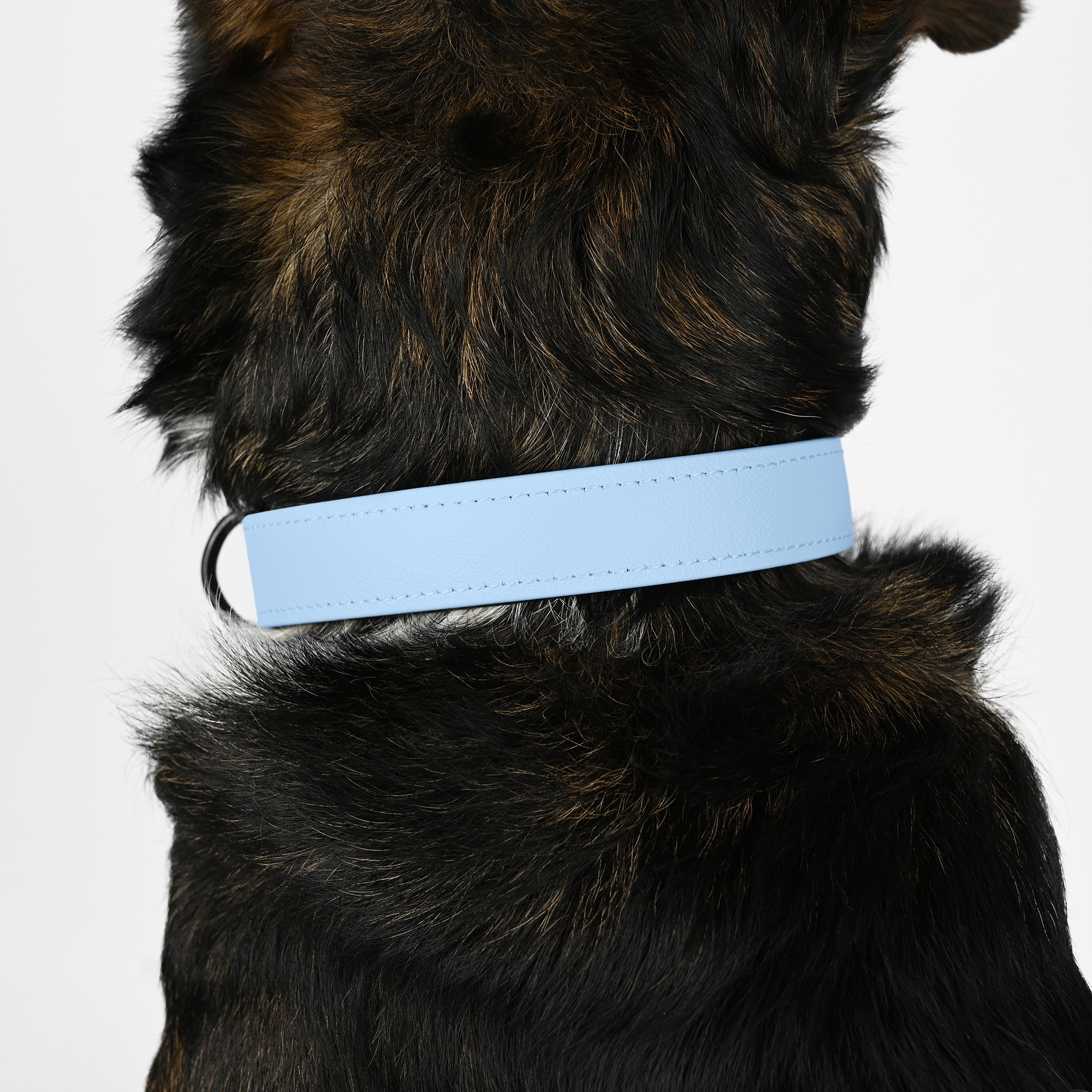 THE DOG IDEA Hundehalsbänder THE DOG IDEA Biothane Halsband Hellblau M