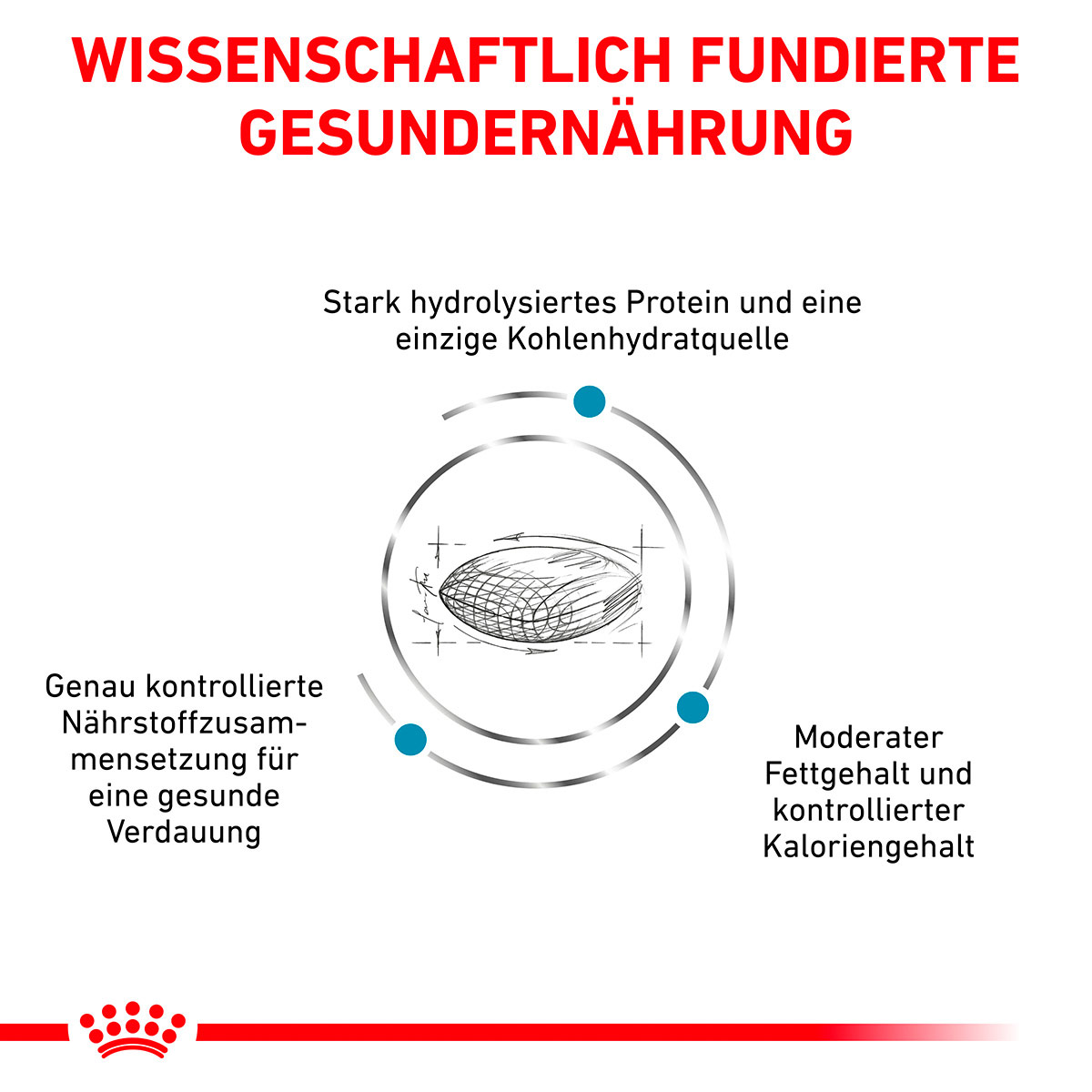 ROYAL CANIN Veterinary HYPOALLERGENIC MODERATE CALORIE Trockenfutter für Hunde