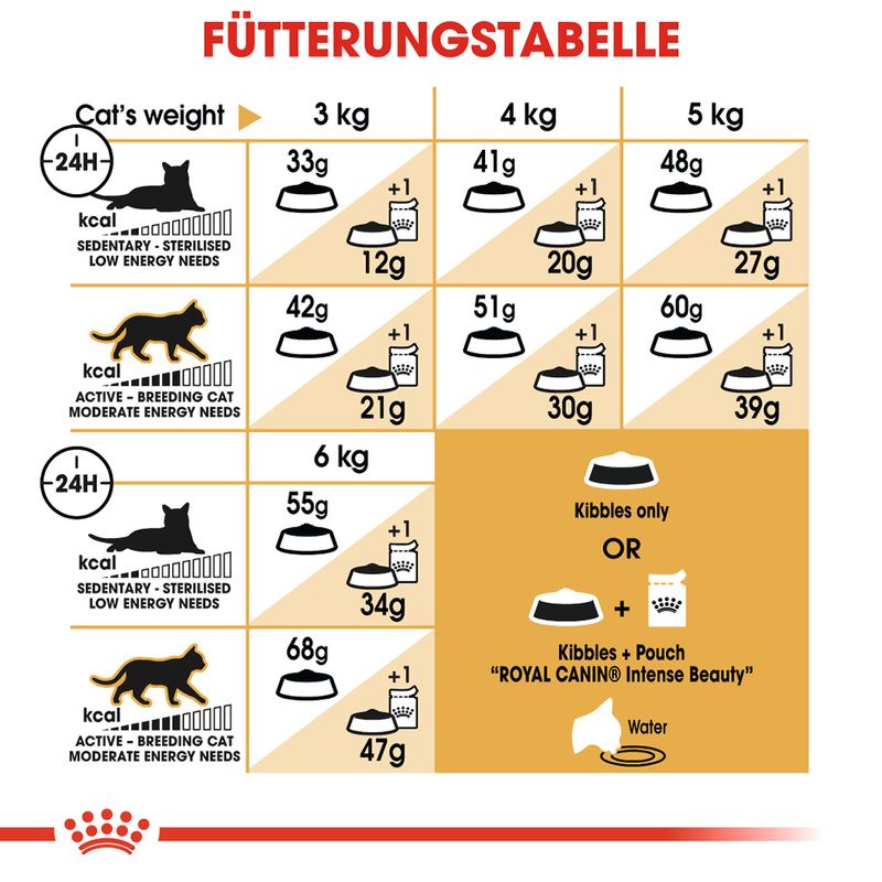Royal Canin Siamese Adult zu TOP-Preisen