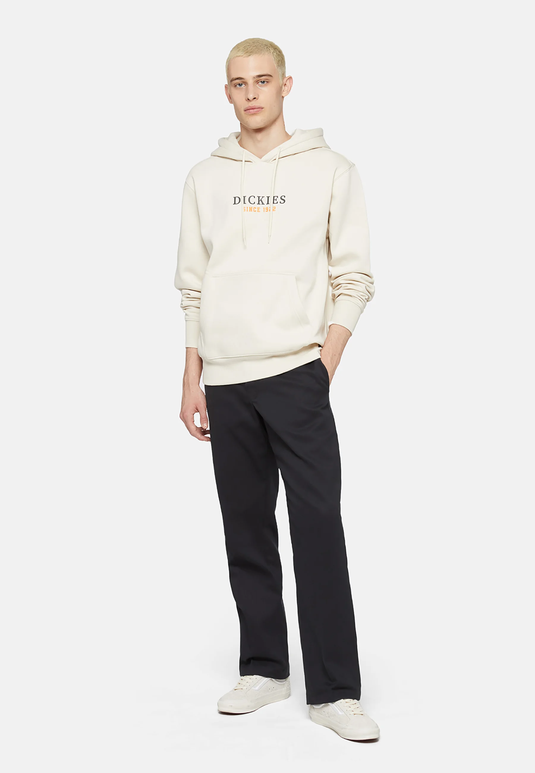 Sudadera con capucha Dickies PARK HOODIE