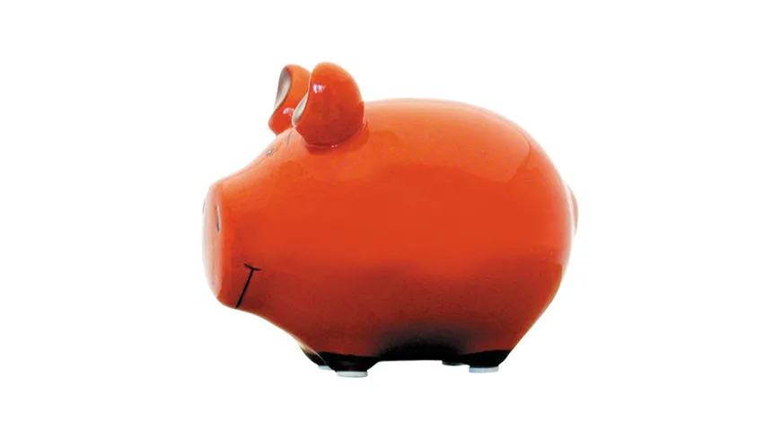 KCG Kleinschwein Blanko rot-orange