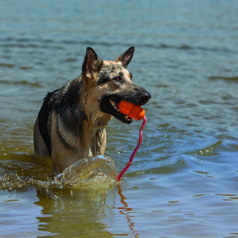 KONG Frisbees & Wurfspielzeug KONG Aqua mit Wurftau L
