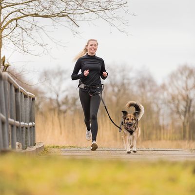 Trixie Jogginggurt mit Leine - grau/schwarz