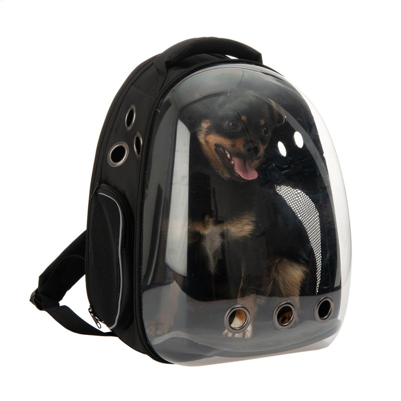 Rucksack View zu TOP-Preisen