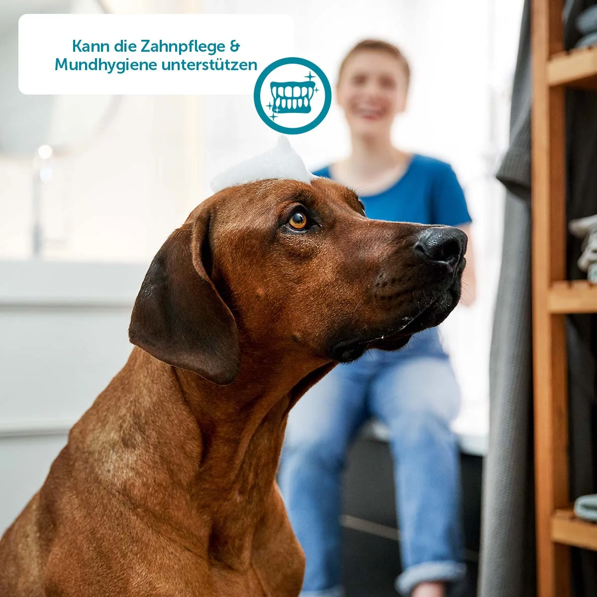 ZooRoyal Individual care Kaurollen mit Hühnerbrust