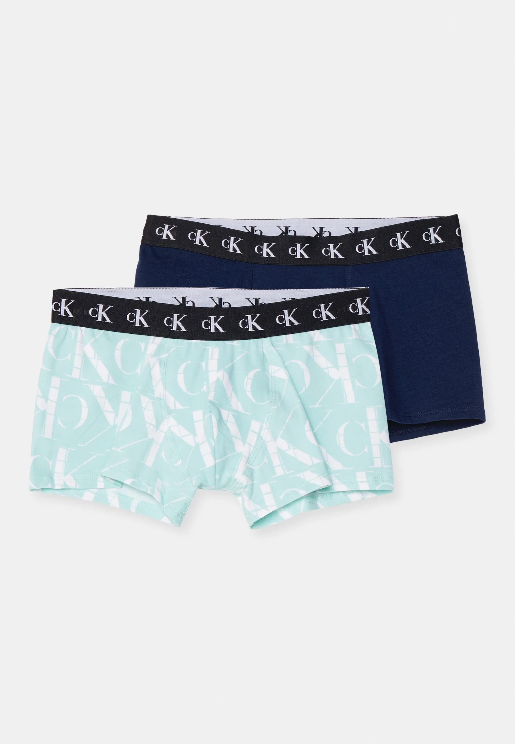 Calvin Klein Underwear TRUNK PACK DE 2 - Culotte