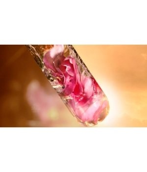 LANCÔME Absolue Soft Cream Gesichtscreme 60 ml