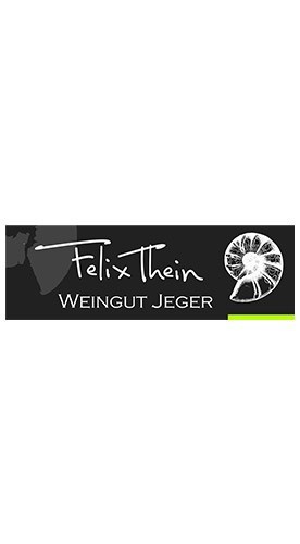 2020 Sauvignon Blanc trocken - Weingut Jeger