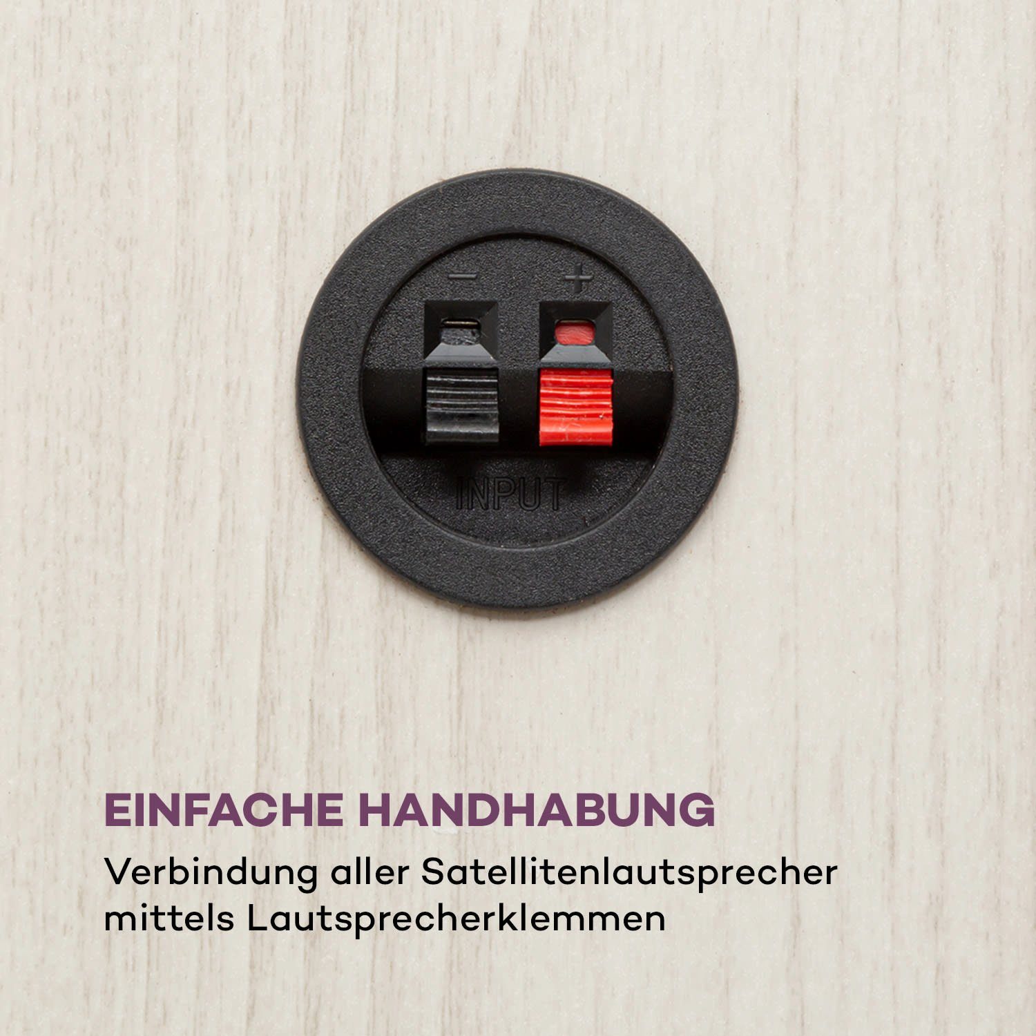 Auna Areal Elegance Lautsprechersystem (Bluetooth, 190 W)