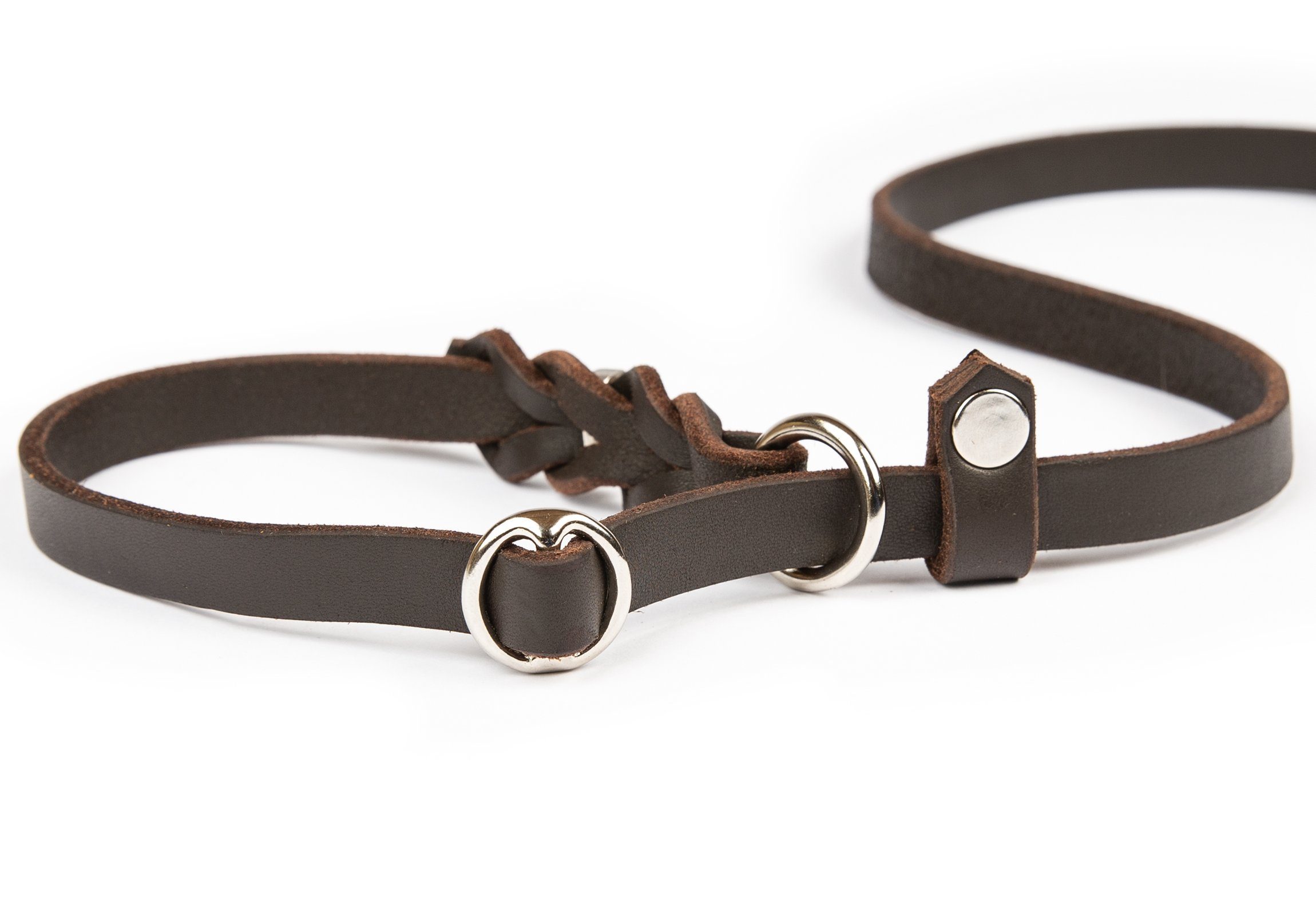 CopcoPet Hundeleine Retrieverleine