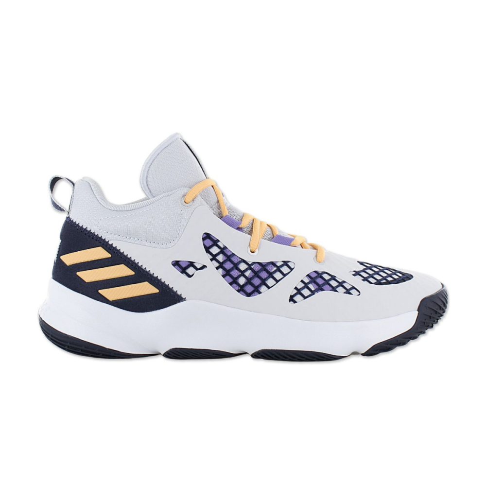 adidas PRO N3XT 2021 GY3805 / grau