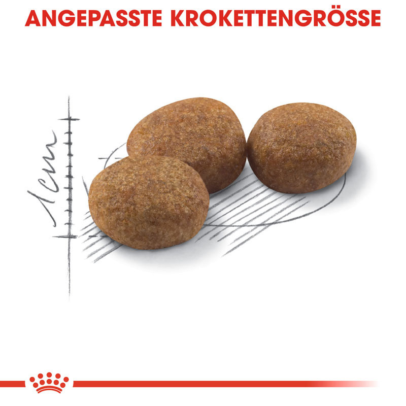 ROYAL CANIN Trockenfutter ROYAL CANIN Sterilised 37 10+2kg