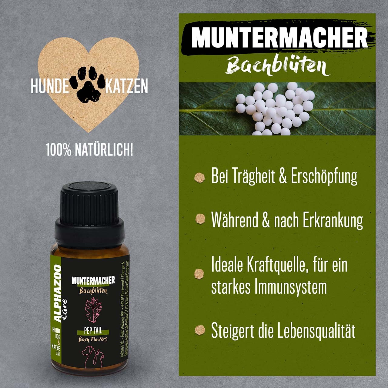 ALPHAZOO Ergänzungsfutter & Aufzucht ALPHAZOO Muntermacher Bachblüten, Globuli für Hunde und Katzen