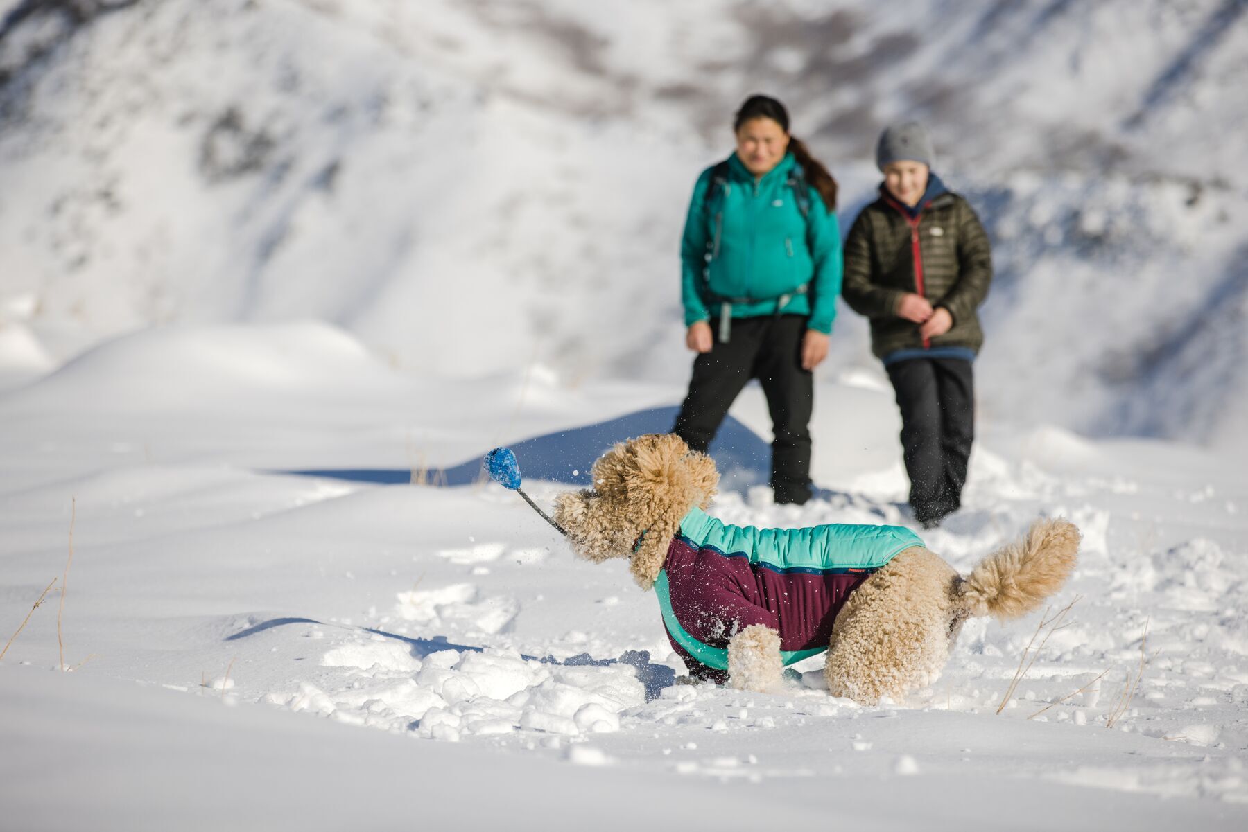 Ruffwear Frisbees & Wurfspielzeug Ruffwear Huck-a-Cone™ Spielzeug gelb