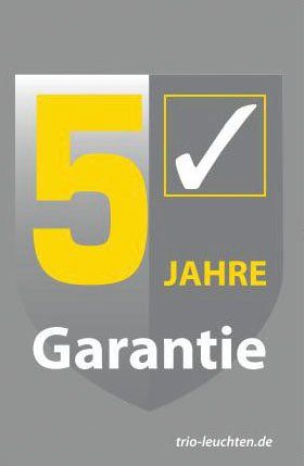 TRIO Leuchten LED Deckenleuchte Stralsund, Farbwechsel, Memoryfunktion, Nachtlichtfunktion, Ventilatorfunktion, LED fest integriert, warmweiß - kaltweiß, Deckenventilator mit 3 Stufen, Fernbed., Lichtfarbe einstellbar, RGBW