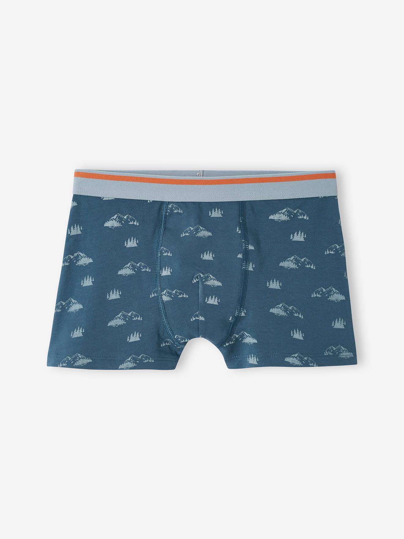 Vertbaudet 5er-Pack Jungen Stretch-Boxershorts, Yeti - graublau
