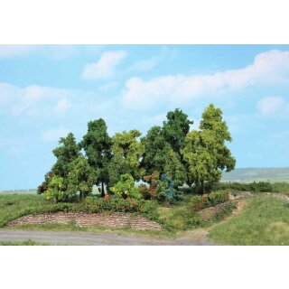 Laubwald Büsche und Bäume 1-11 cm (18 Stk.)