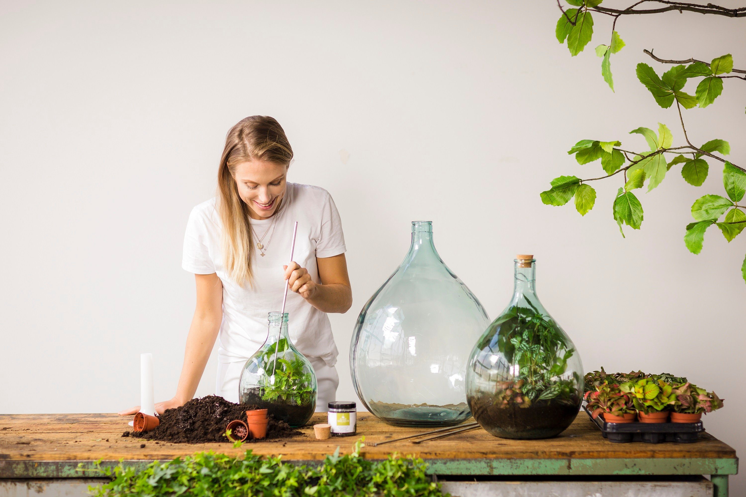 esschert design Übertopf Esschert Design Terrarium Flasche 15 Liter Set Glas Pflanzen Gewächs Haus Deko