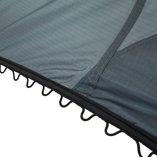 DAWN L TARP