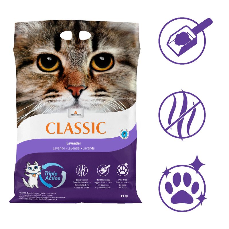 Intersand Classic Katzenstreu mit Lavendelduft