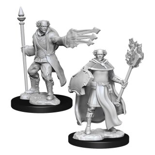 D&D Nolzur's Marvelous Miniatures - Multiclass Cleric & Wizard Male