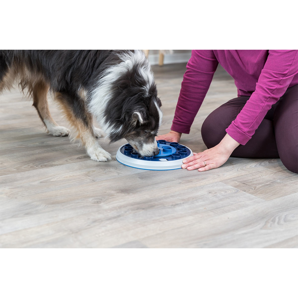 Trixie Dog Activity Strategie-Spiel Twister kaufen bei ZooRoyal