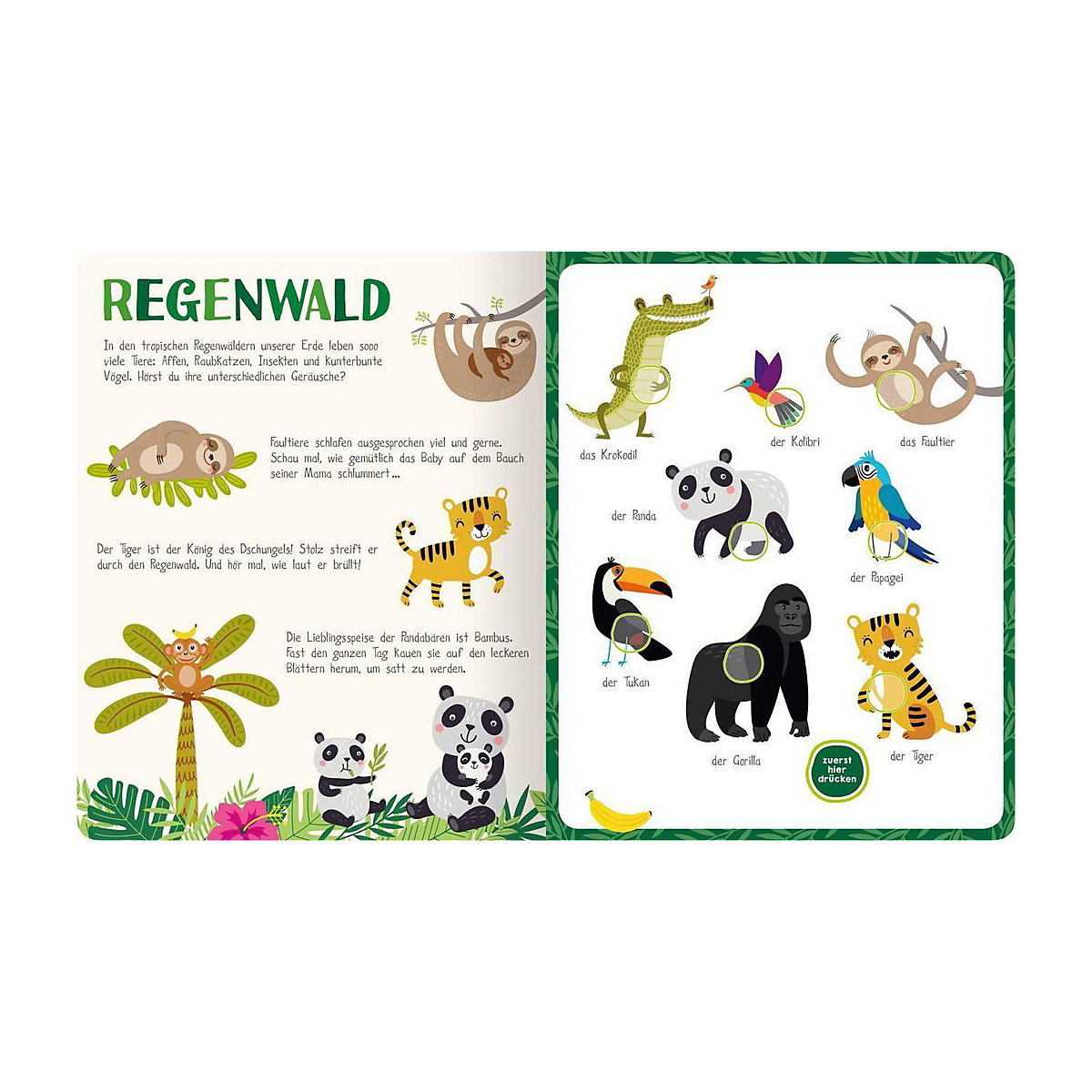 Mein kunterbuntes Soundbuch: Tiere, mit Soundeffekten