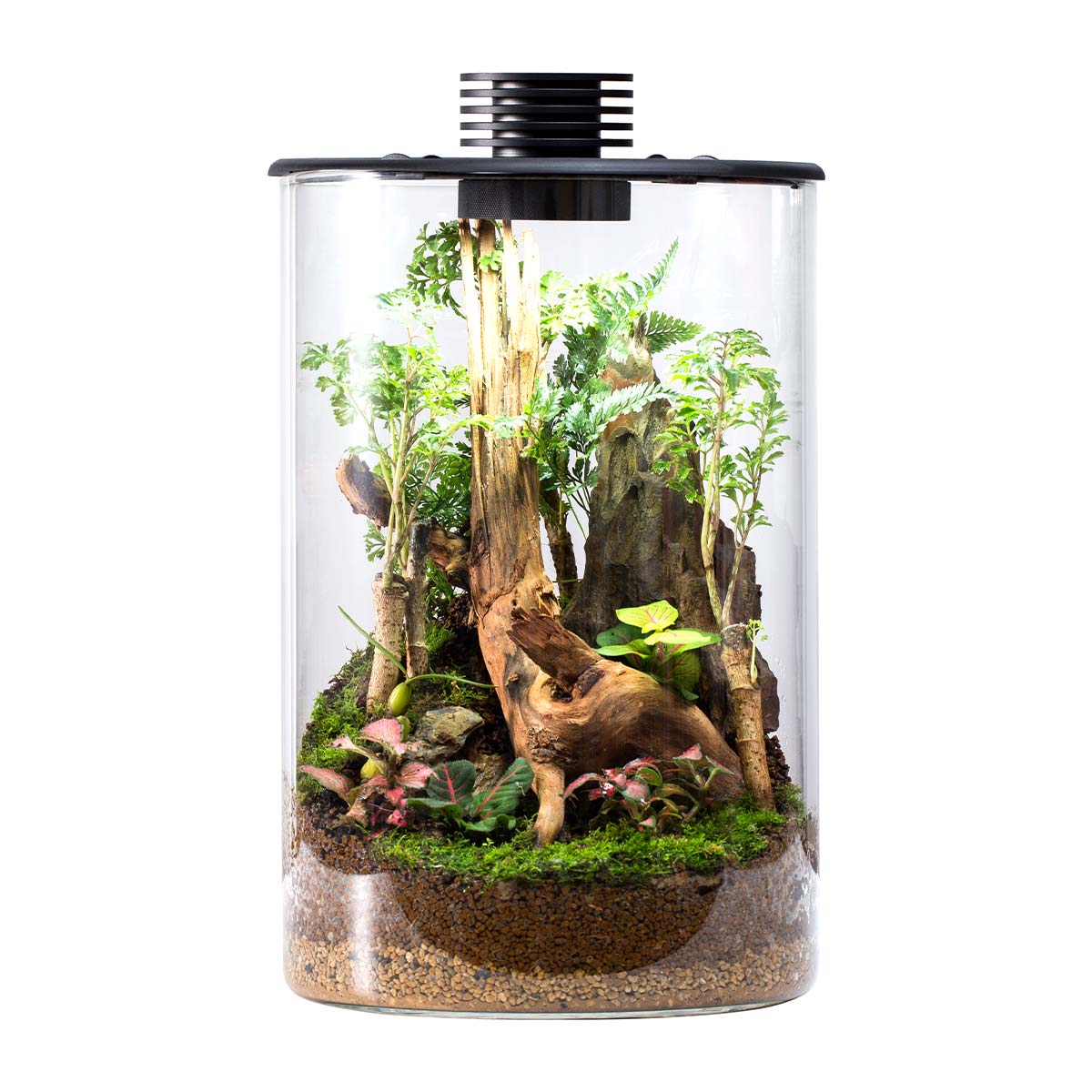 Bioloark Bio Bottle ZD günstig kaufen