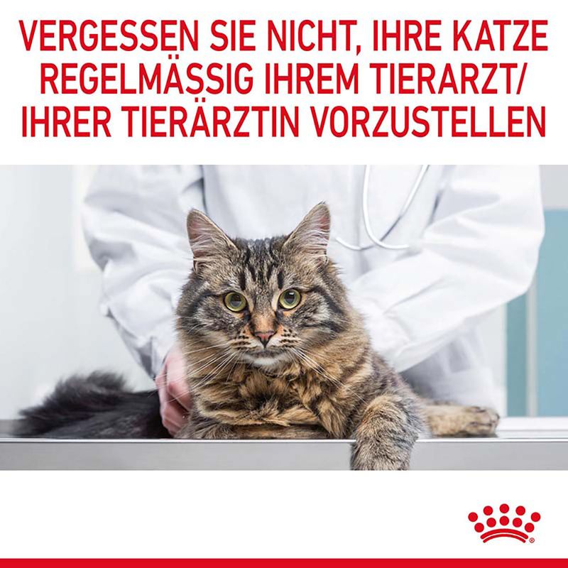Royal Canin Digestive Care in Soße zu TOP-Preisen