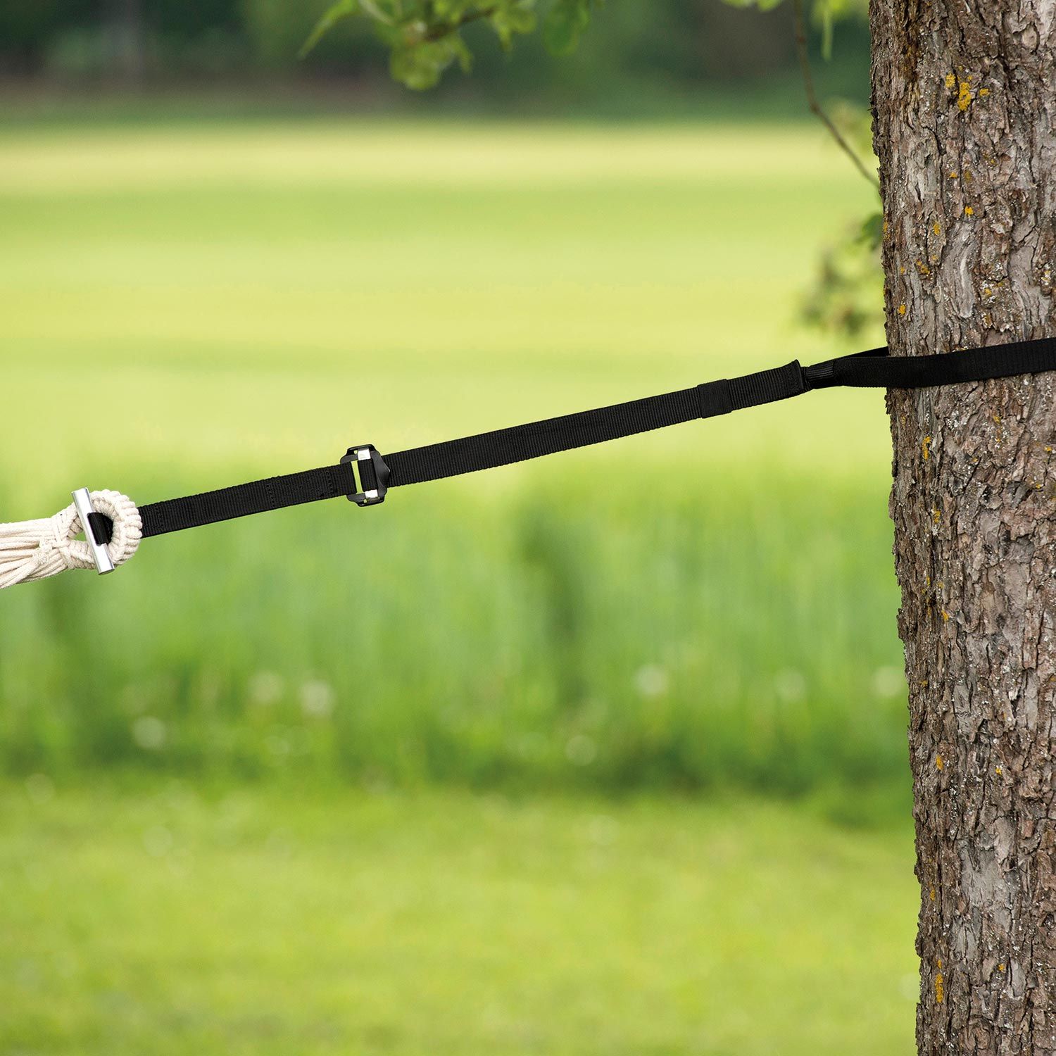 Aufhängung T-Strap