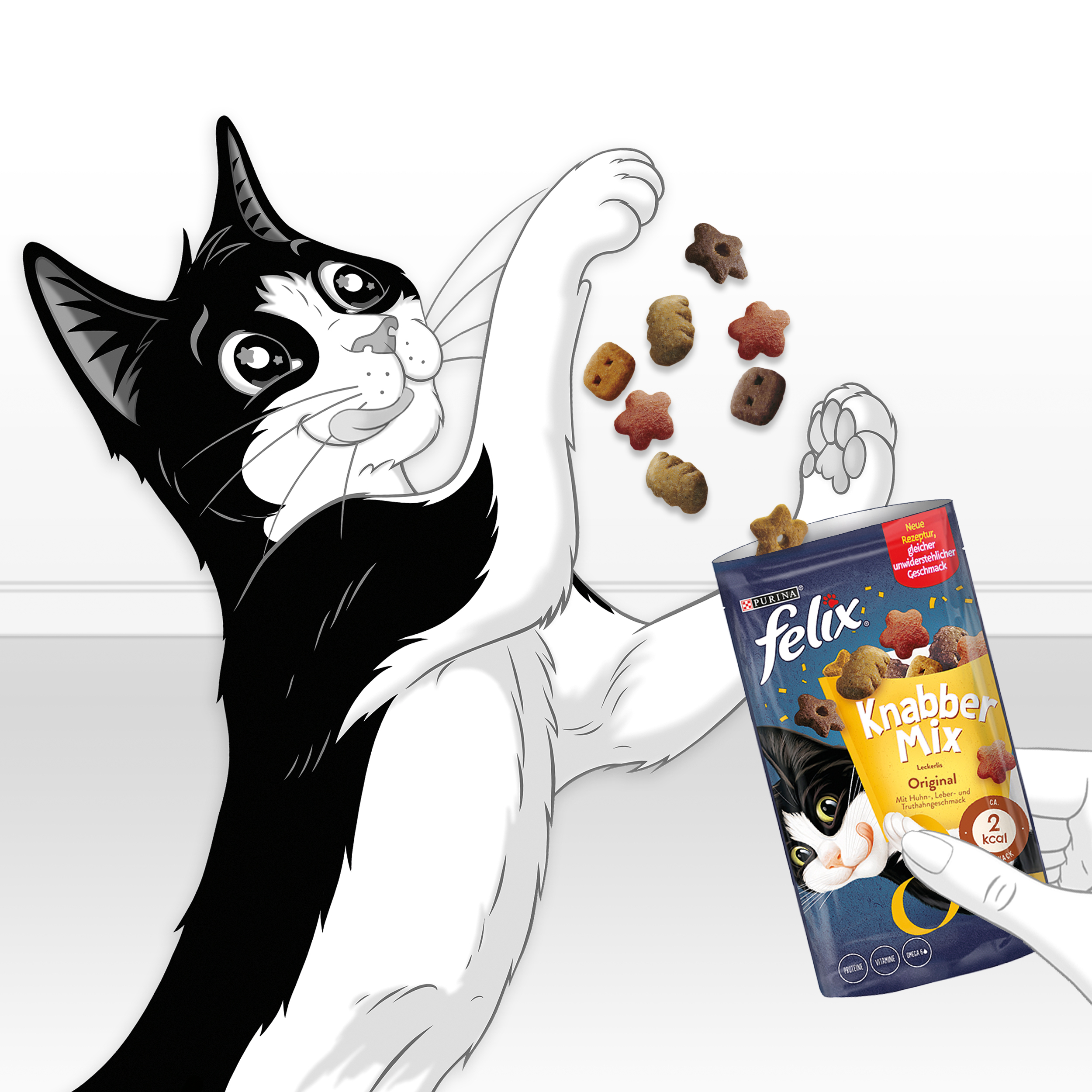 Felix Snacks Felix KnabberMix 8x60g Original