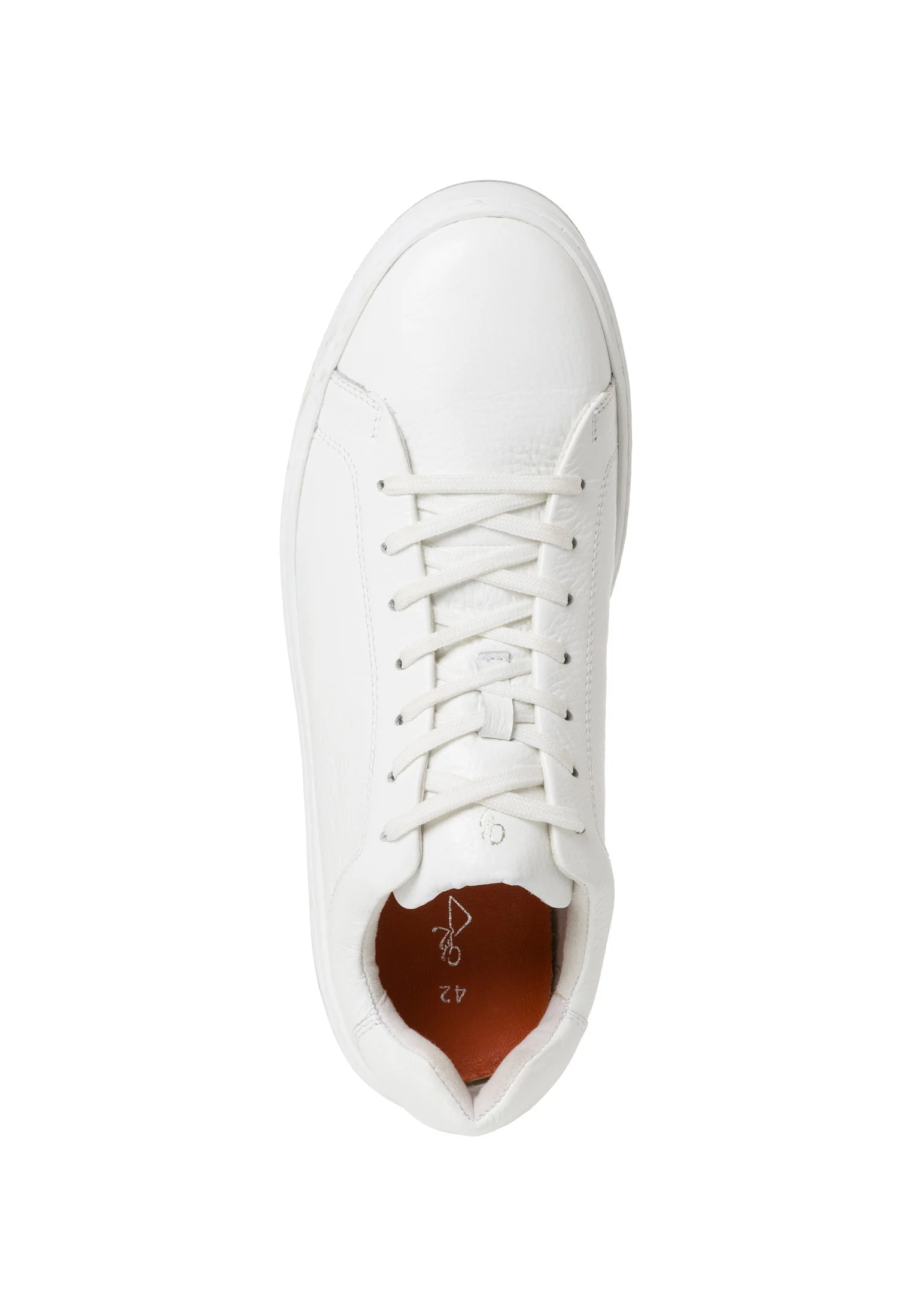 Zapatillas bajas Marco Tozzi