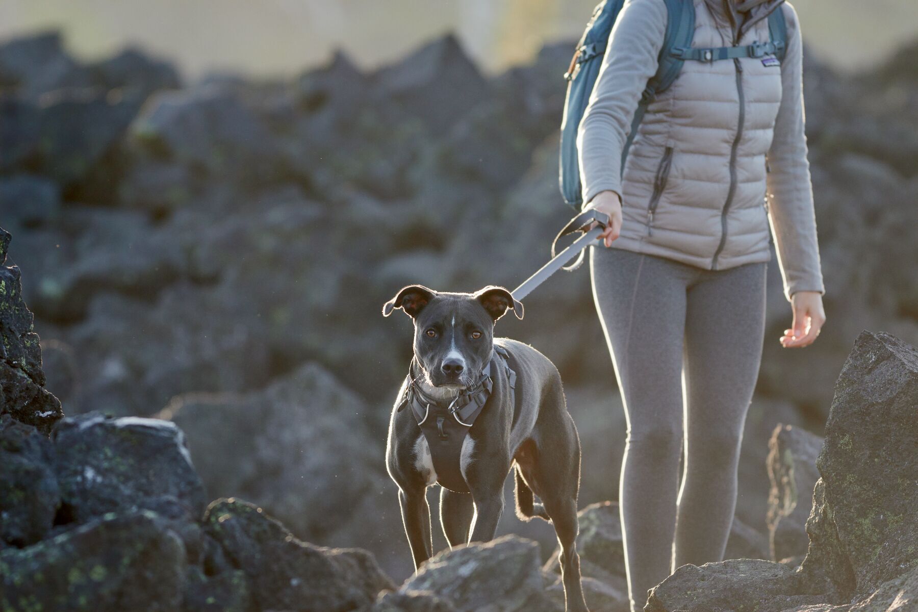 Ruffwear Hundegeschirre Ruffwear Front Range™ Geschirr grau M