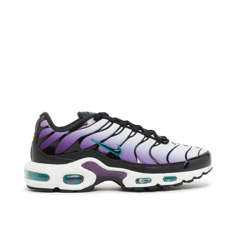 Nike Air Max Plus Reverse Grape FQ2415-500 / lila