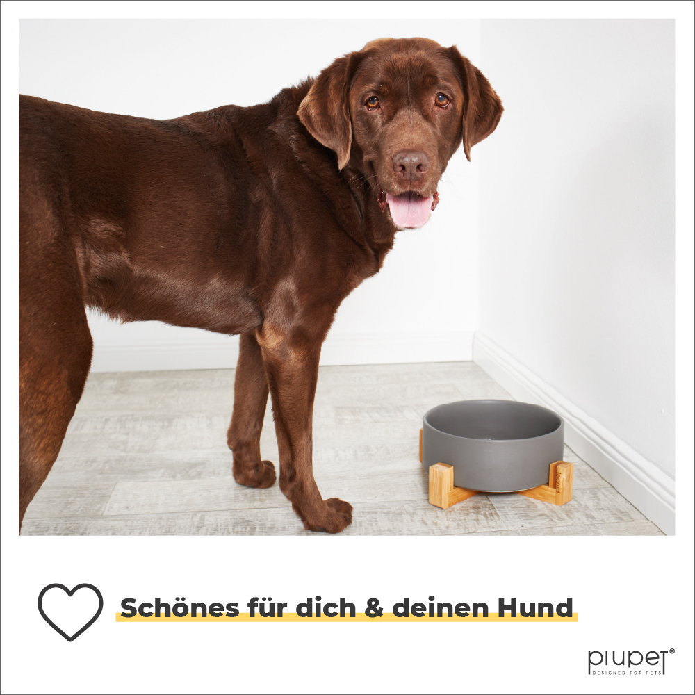PIUPET Futternäpfe PIUPET Hundenapf