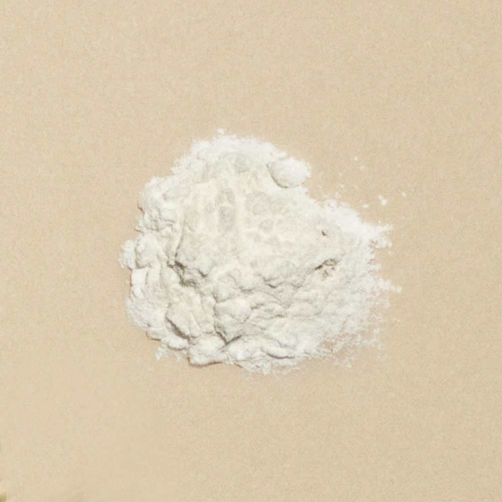 clarification La Poudre Volume Shampoing sec