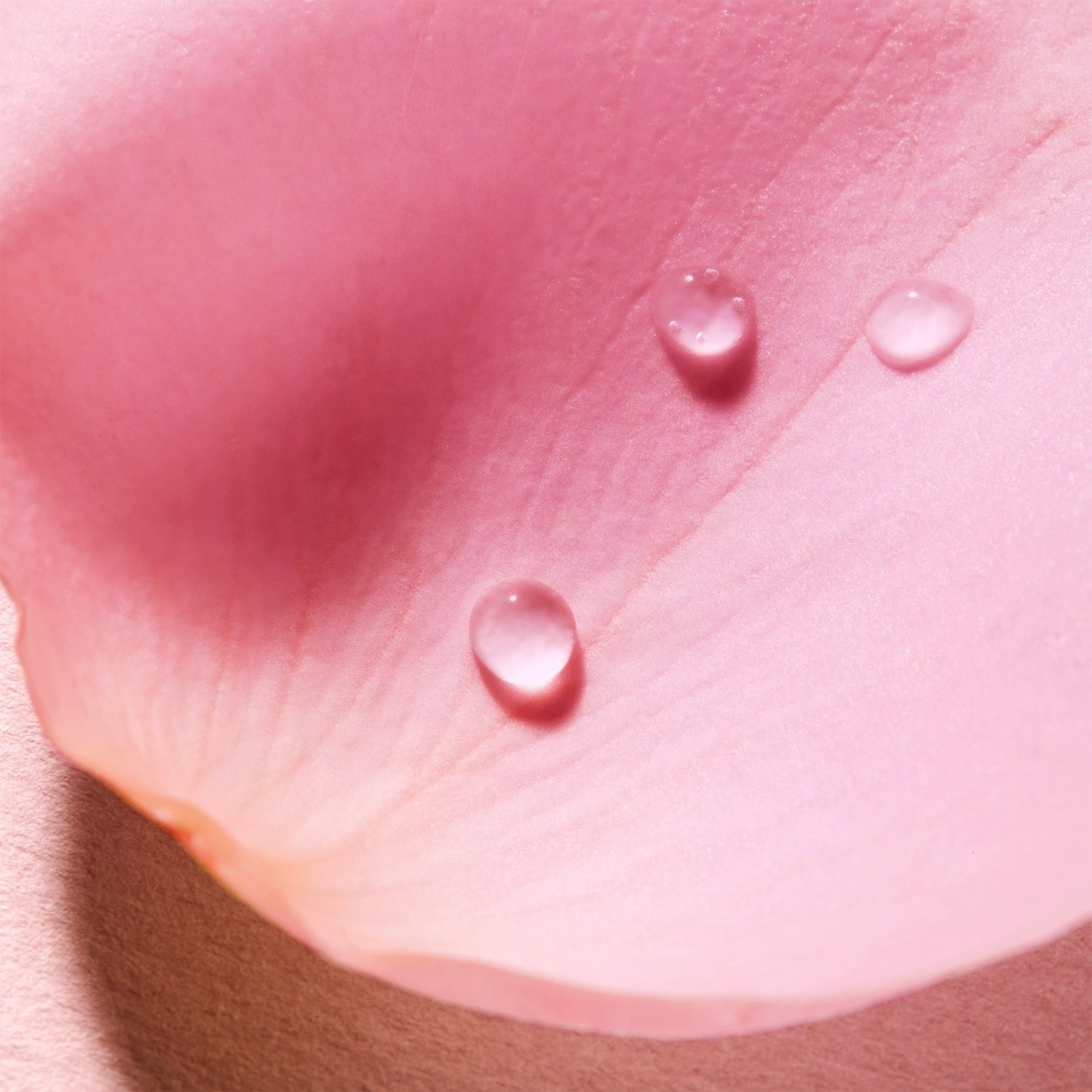 Agua micelar calmante 3 en 1 de NUXE para rostro y ojos