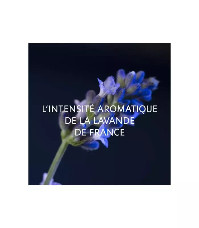 Y LE PARFUM Eau de Parfum