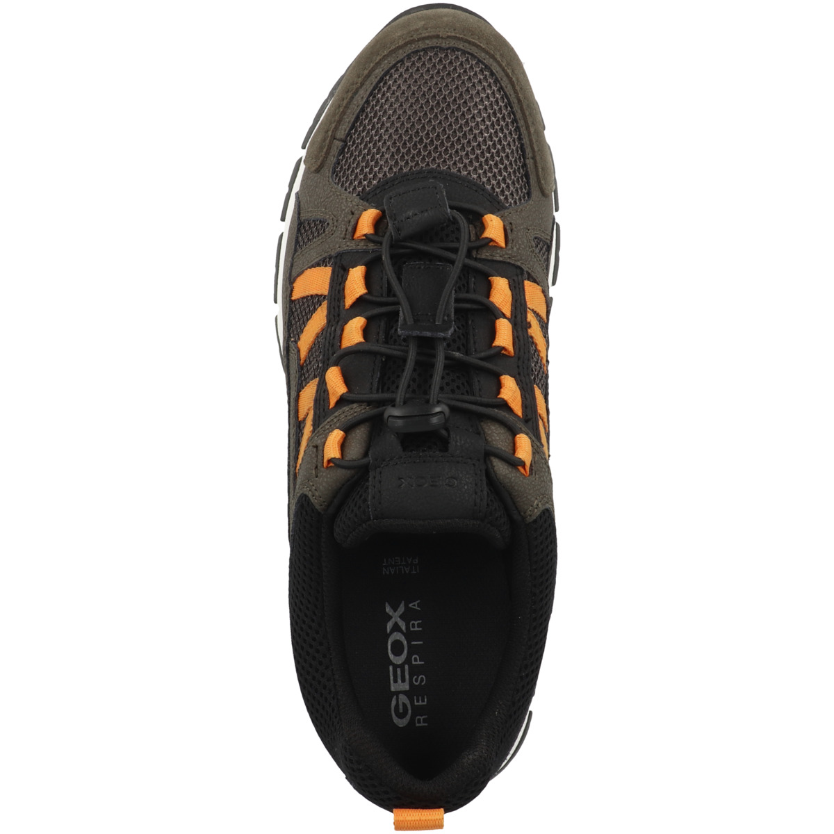 Geox U Delray A Sneaker Low dunkelgruen