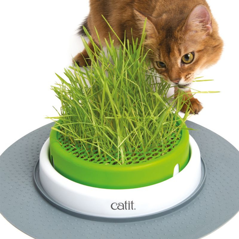 Catit Senses 2.0 Grastopf zu Discountpreisen % bei bitiba.de