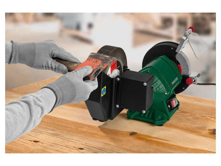 Disco de desbaste PARKSIDE® PNTS 250